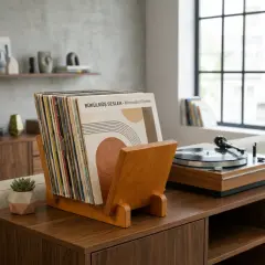 Vintra, Plak, Dergi, Gazete, Kitap İçin Modüler Raf, Tik Renk