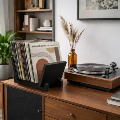 Vintra, Plak, Dergi, Gazete, Kitap İçin Modüler Raf, Ceviz Renk